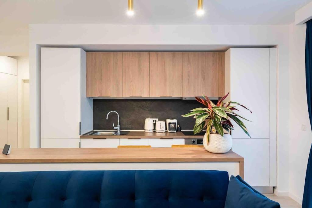 Apartmán Blue Velvet Bukurešť Exteriér fotografie